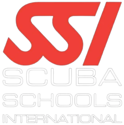 SSI