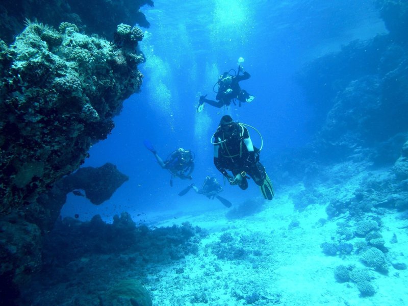 Diveworld loodgordels
