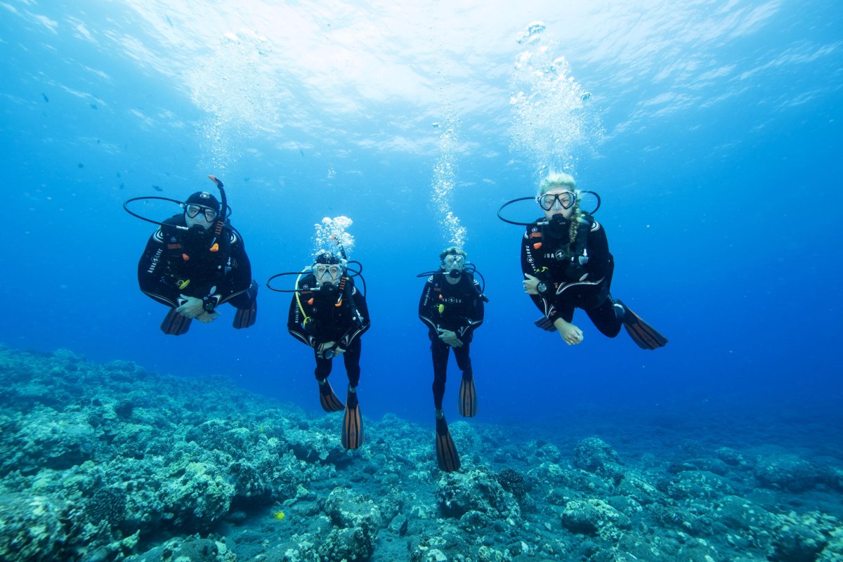 Bij het DiveWorld Duikteam begint jouw avontuur