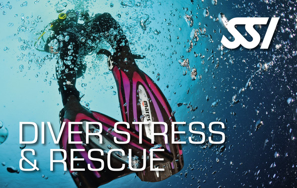 SSI Stress en Rescue