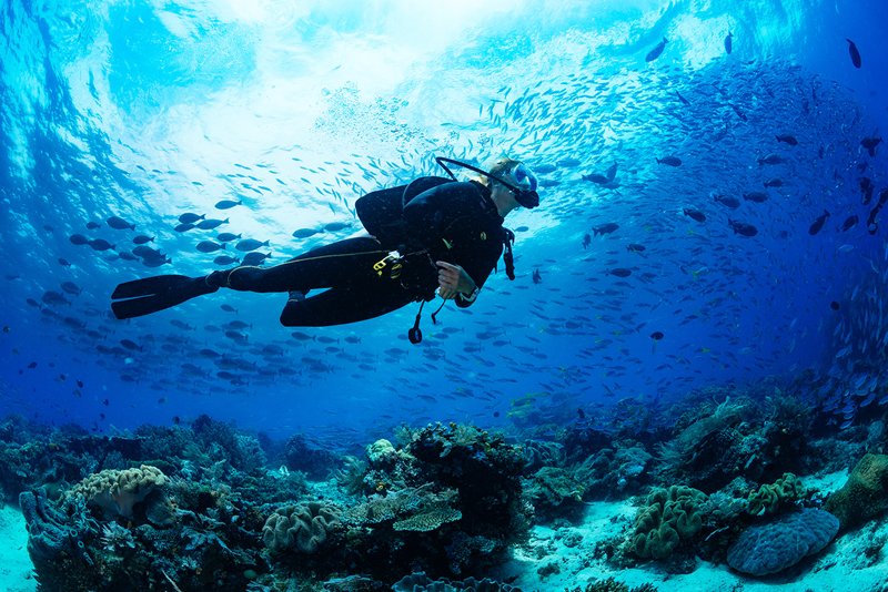 DiveWorld SSI Open Water Diver aanbieding