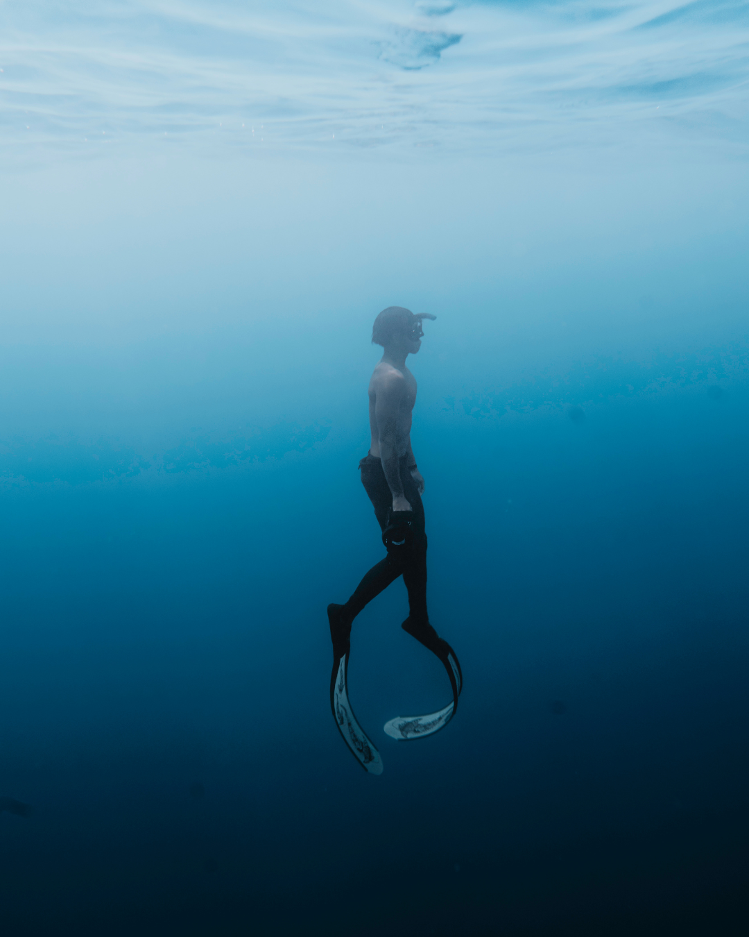 Nieuw bij DiveWorld: SSI Free Diver