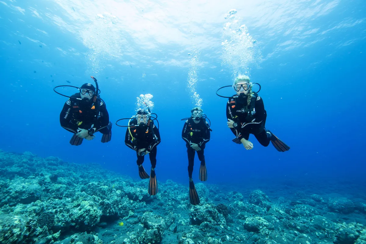 Bij het DiveWorld Duikteam begint jouw avontuur
