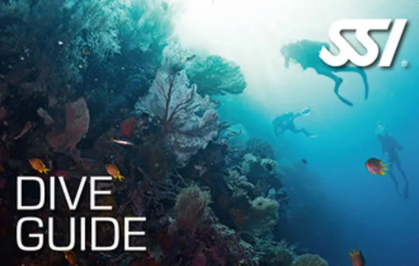 ssi-dive-guide-specialty-8-september